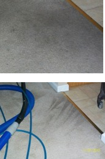 carpet cleaning Kirkwood