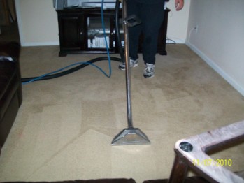 carpet cleaning Kirkwood