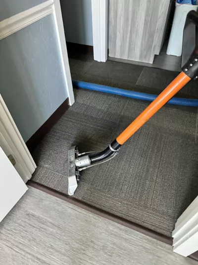 carpet cleaning Kirkwood MO