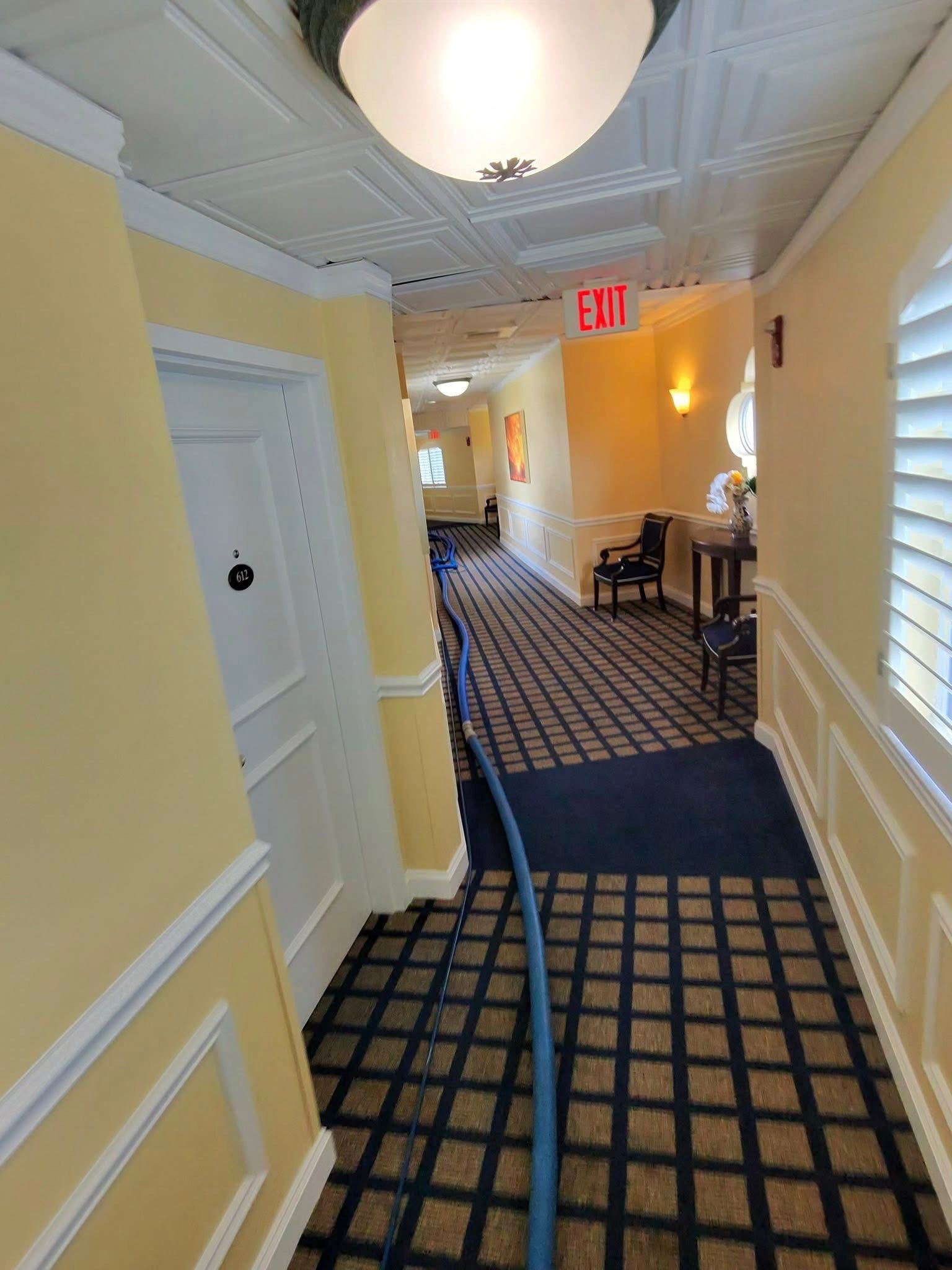 Kirkwood carpet cleaning