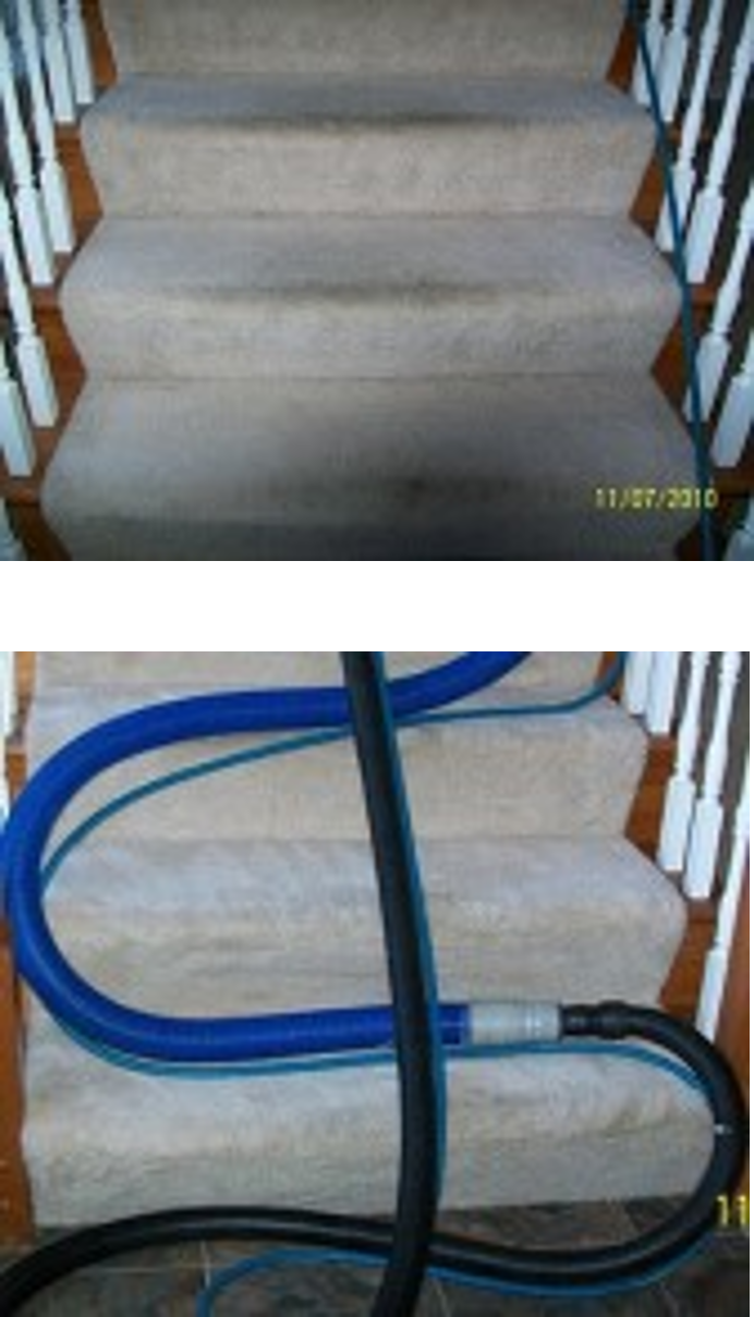 carpet cleaning Kirkwood