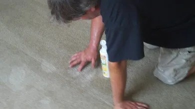 carpet stain removal, carpet cleaning kirkwood mo